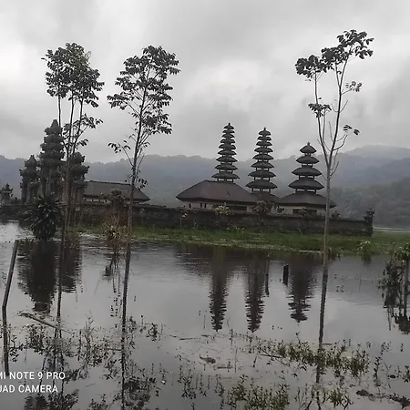 Wana Wooden House