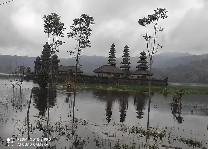 Wana Wooden House *